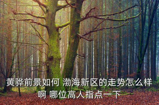 黃驊前景如何 渤海新區(qū)的走勢怎么樣啊 哪位高人指點(diǎn)一下