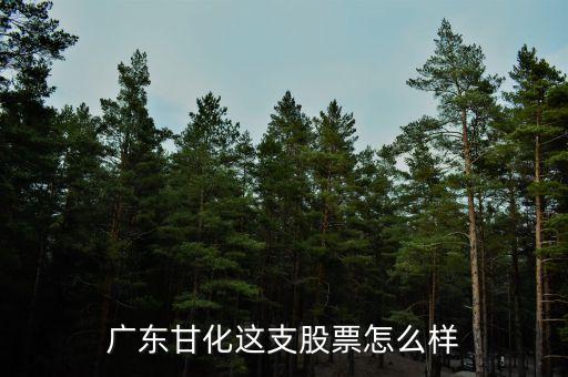 廣東甘化股票屬什么板塊，廣東甘化這支股票怎么樣