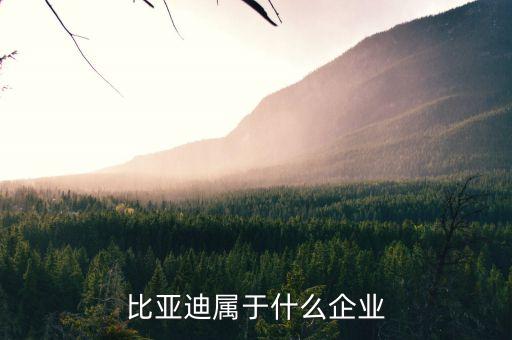 比亞迪屬于什么企業(yè)，比亞迪在中國算是什么企業(yè)