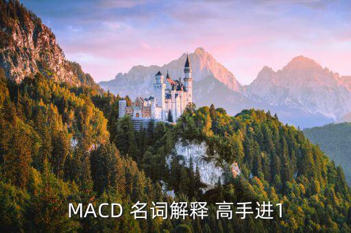 什么叫同步上升macd，MACD 名詞解釋 高手進1