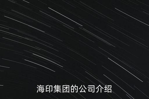 海印集團(tuán)的公司介紹