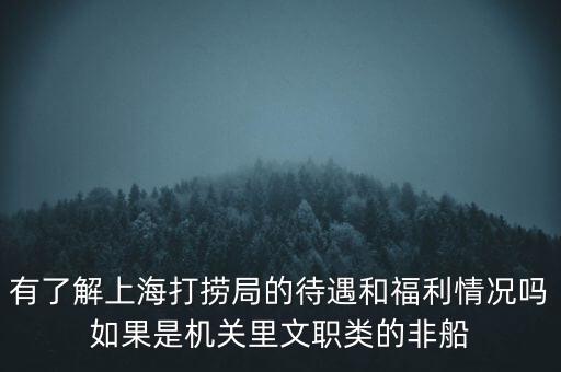 有了解上海打撈局的待遇和福利情況嗎如果是機(jī)關(guān)里文職類的非船