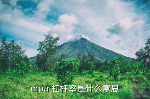 mpa 杠桿率是什么意思