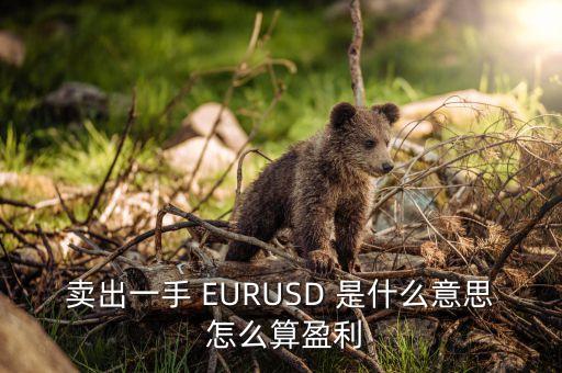 賣出一手 EURUSD 是什么意思 怎么算盈利