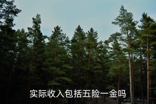 實際工資指什么，實際收入包括五險一金嗎