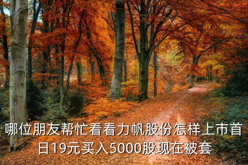 哪位朋友幫忙看看力帆股份怎樣上市首日19元買入5000股現(xiàn)在被套