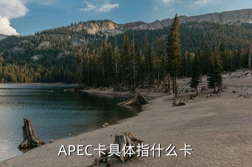 APEC卡具體指什么卡