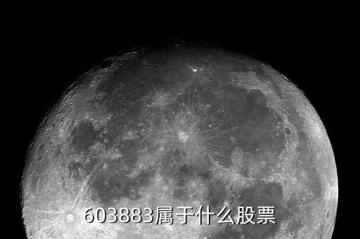 603883屬于什么股票