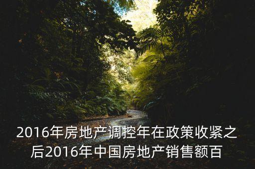 2016房市下一步還能出什么政策，2016年房地產(chǎn)調(diào)控年在政策收緊之后2016年中國房地產(chǎn)銷售額百