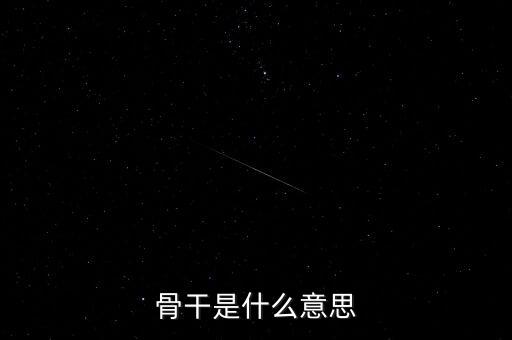 骨干是什么意思