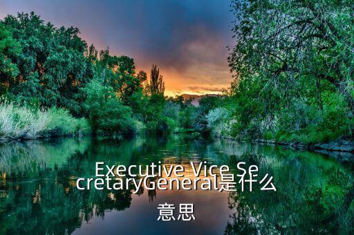 Executive Vice SecretaryGeneral是什么意思