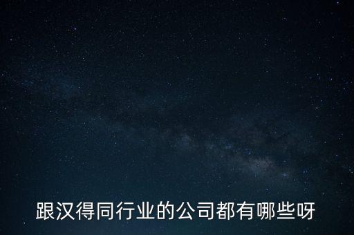 跟漢得同行業(yè)的公司都有哪些呀