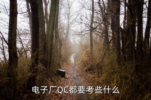 電子廠QC都要考些什么