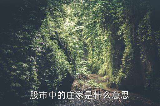 股票莊家什么意思，股市中的莊家是什么意思