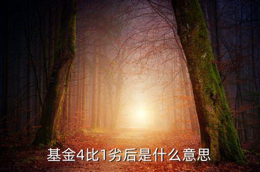 什么叫劣后級，什么叫劣后