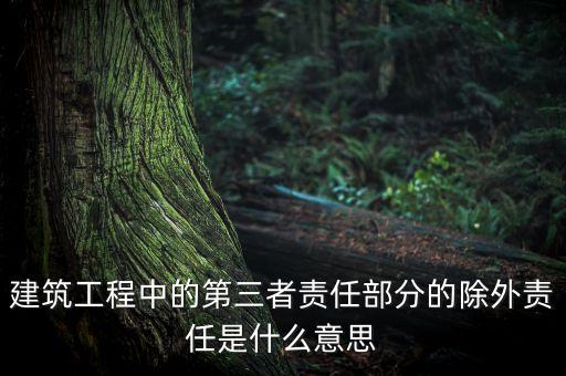 什么是除外責任，建筑工程中的第三者責任部分的除外責任是什么意思