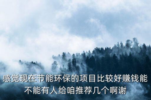 感覺現(xiàn)在節(jié)能環(huán)保的項目比較好賺錢能不能有人給咱推薦幾個啊謝