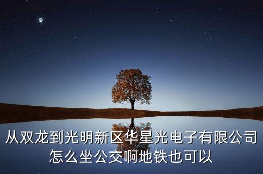 從雙龍到光明新區(qū)華星光電子有限公司怎么坐公交啊地鐵也可以