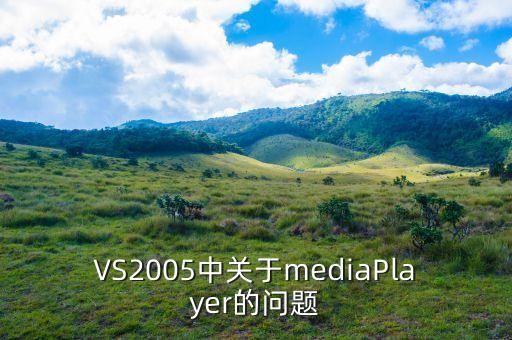 vsmedia是什么，VS2005中關(guān)于mediaPlayer的問題