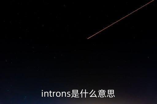 introns是什么意思