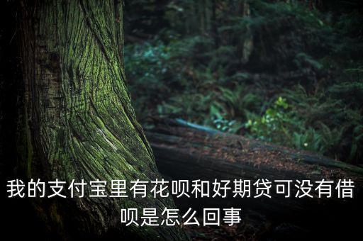 我的支付寶里有花唄和好期貸可沒有借唄是怎么回事