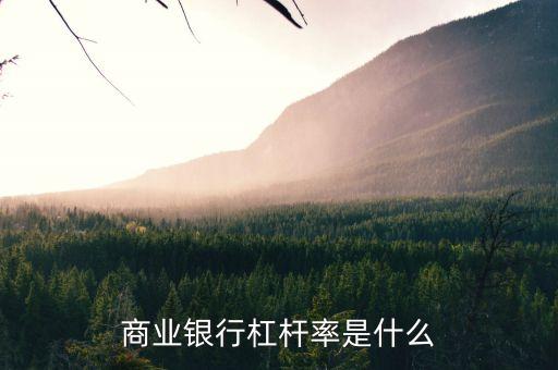 商業(yè)銀行杠桿率是什么