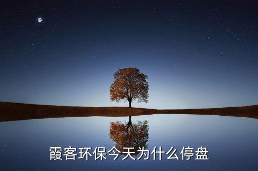 霞客環(huán)保什么時(shí)候開(kāi)盤，霞客環(huán)保 深圳0020151245買進(jìn)的 出版?zhèn)髅?上海601999