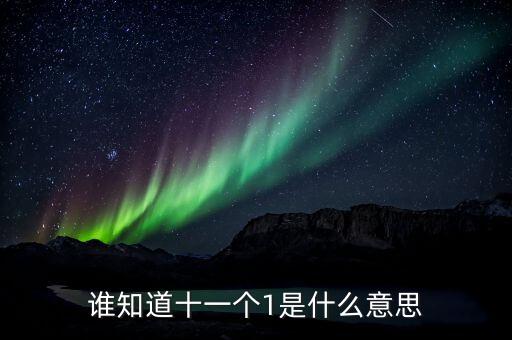 銀行說的逾期10個1是什么意思，誰知道十一個1是什么意思