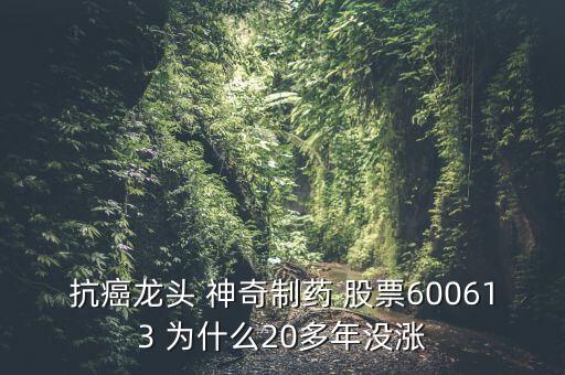 神奇制藥為什么23年不漲，貴州神奇藥業(yè)上市沒有