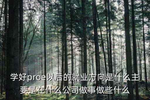 學好proe以后的就業(yè)方向是什么主要是在什么公司做事做些什么