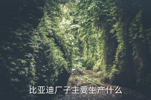 上海比亞迪廠主要生產(chǎn)什么，比亞迪廠子主要生產(chǎn)什么