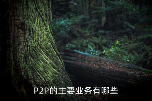 P2P的主要業(yè)務(wù)有哪些