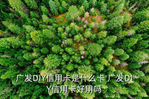 什么是diy信用卡，廣發(fā)DIY信用卡是什么卡 廣發(fā)DIY信用卡好用嗎