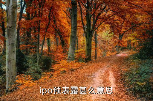 什么是ipo預披露，ipo企業(yè)預表露是甚么意思