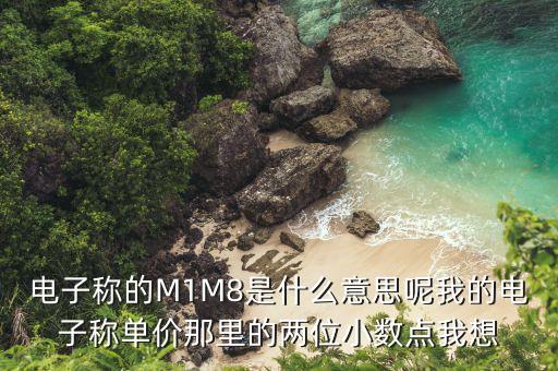 電子稱的M1M8是什么意思呢我的電子稱單價(jià)那里的兩位小數(shù)點(diǎn)我想