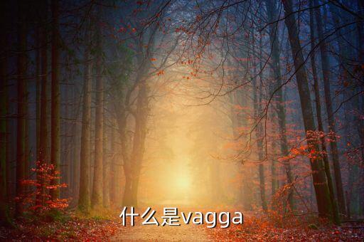 什么是vagga