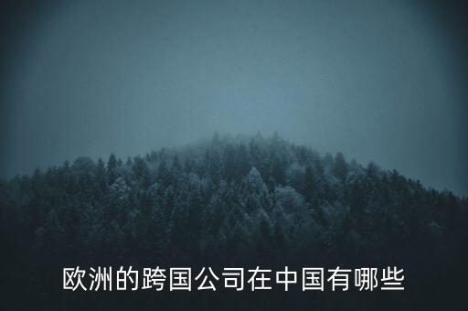 歐洲的跨國(guó)公司在中國(guó)有哪些