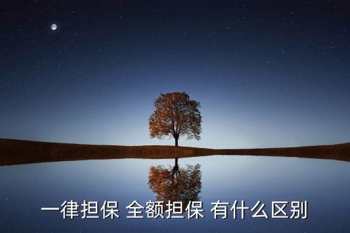 全額擔保指什么，一律擔保 全額擔保 有什么區(qū)別