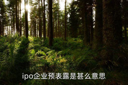 ipo企業(yè)預(yù)表露是甚么意思