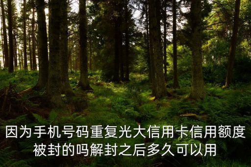 因為手機號碼重復光大信用卡信用額度被封的嗎解封之后多久可以用