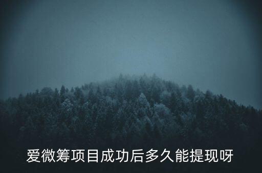 項(xiàng)目申請(qǐng)之后什么時(shí)候可以提現(xiàn)，問下之前在惠金所的投資到期想問一下什么時(shí)候能到賬求告知