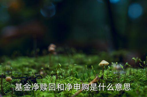 凈申購(gòu)是什么意思，基金凈贖回和凈申購(gòu)是什么意思