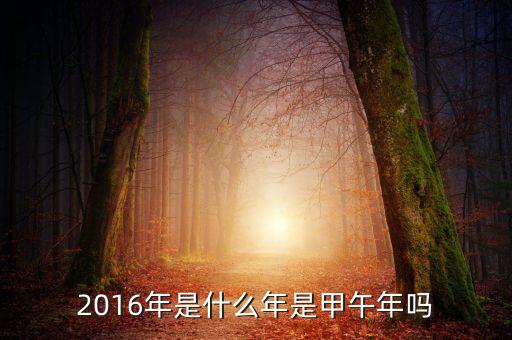 2016年是什么的開局之年，2016年是什么年是甲午年嗎