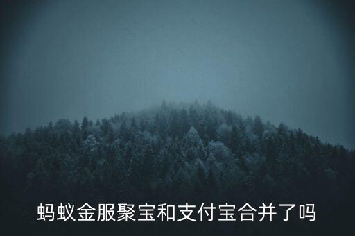 螞蟻金服聚寶和支付寶合并了嗎