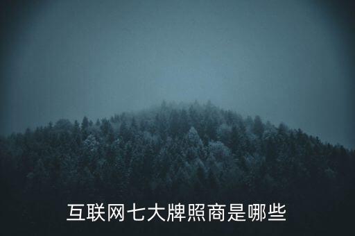 什么是國(guó)際互聯(lián)網(wǎng)牌照，3G牌照是什么意思有什么好處