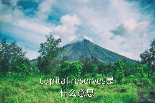 capital reserves是什么意思