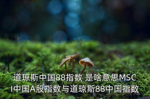 88開頭的股票是什么股，88打頭的股票代碼是那個交易所