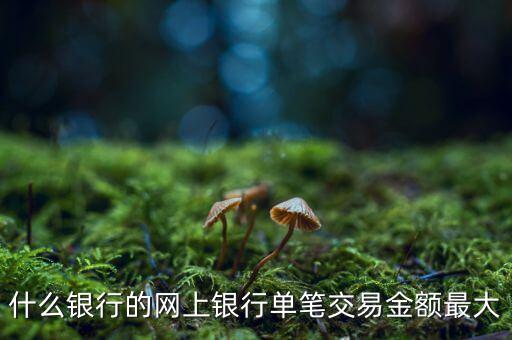 什么銀行的網(wǎng)上銀行單筆交易金額最大