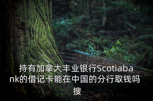 持有加拿大豐業(yè)銀行Scotiabank的借記卡能在中國(guó)的分行取錢嗎  搜