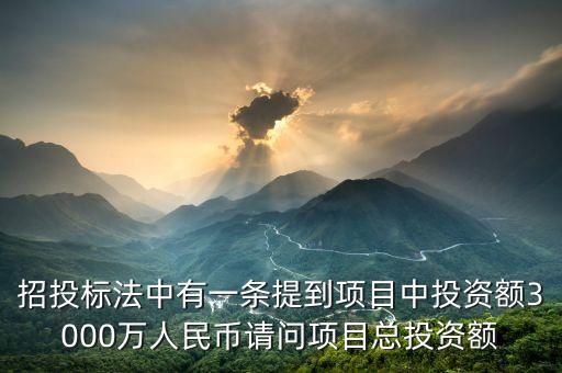 招投標法中有一條提到項目中投資額3000萬人民幣請問項目總投資額